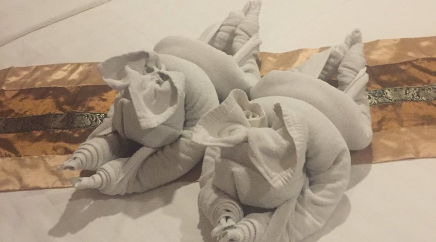 First time we'd had pig shaped towels! Maybe it was a hint that we'd been enjoying the Thai food too much...