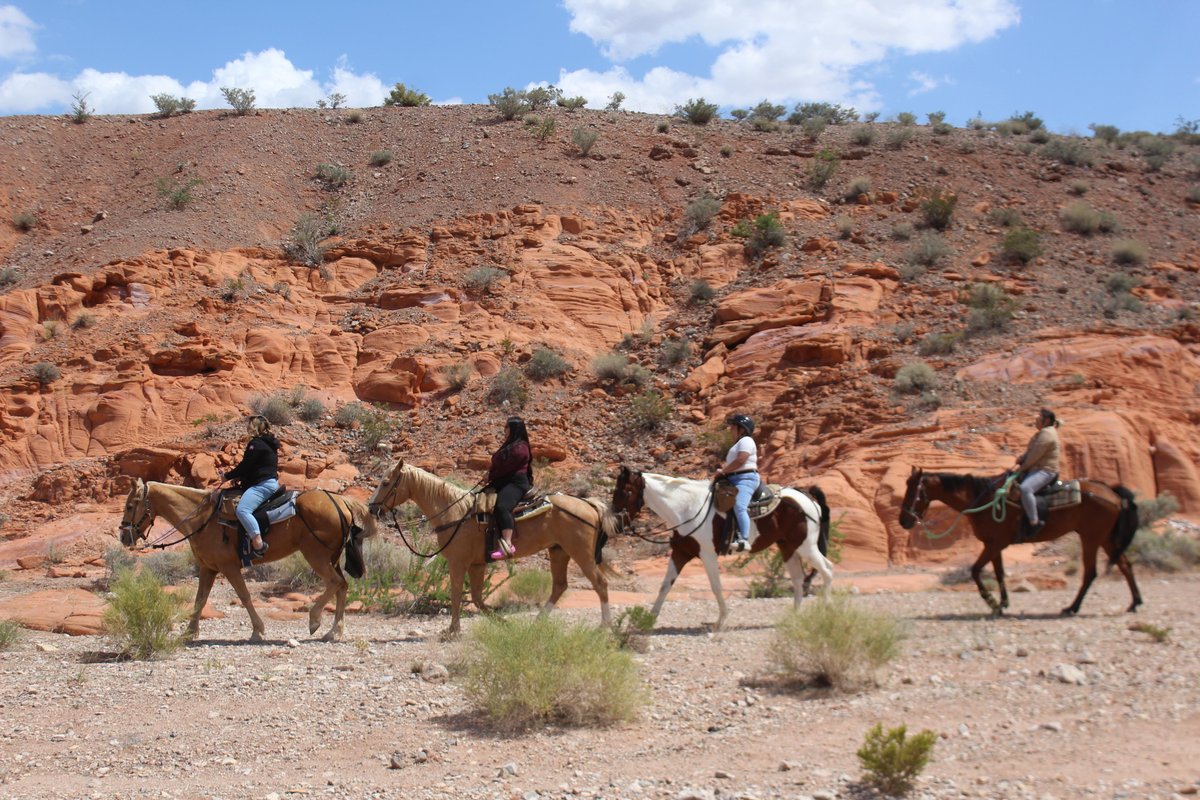 Silver State Horseback Riding Tours - All You Need to Know BEFORE You ...