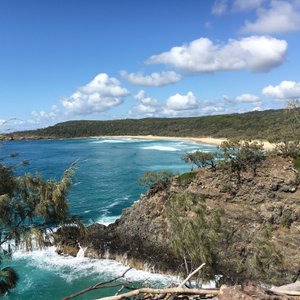 TEE TREE BAY BEACH (Noosa) - All You Need to Know BEFORE You Go