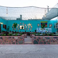 Retro's new yard