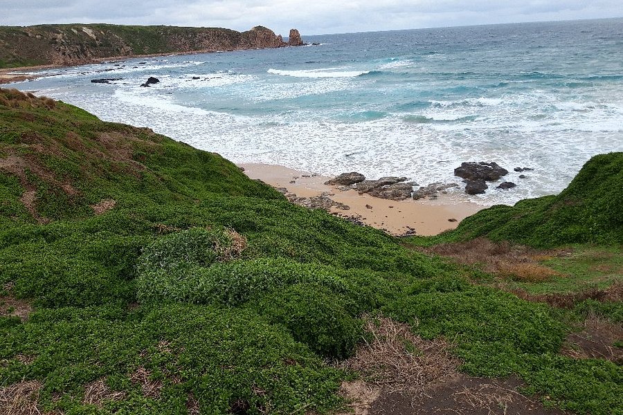Cape Woolamai Beach image