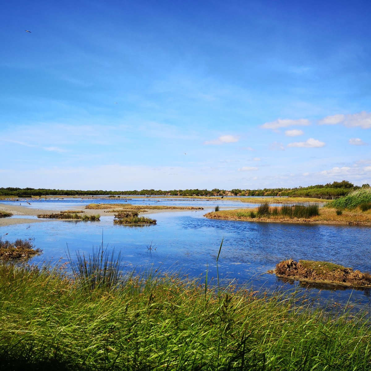 Réserve Ornithologique Du Teich (Le Teich) Alles wat u moet weten