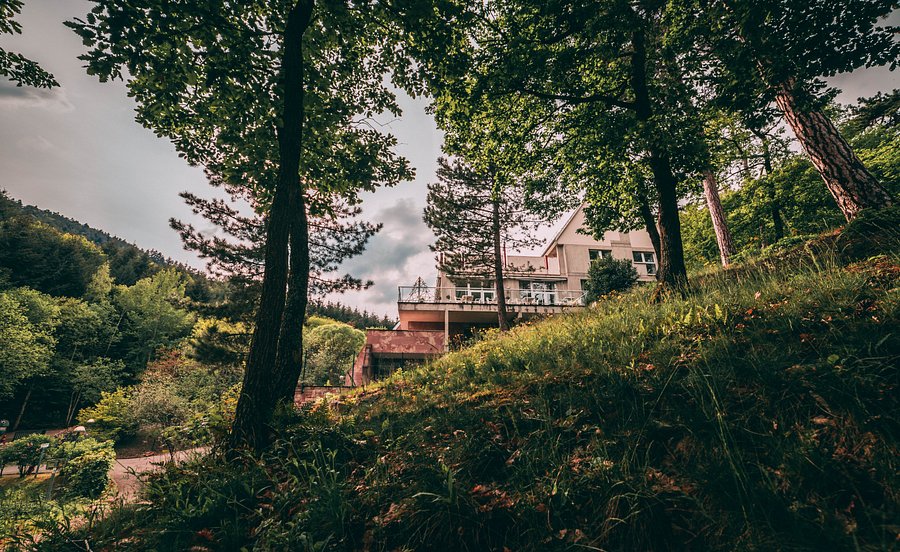 HOTEL HUSSEREN LES CHATEAUX - Prices & Reviews (Husseren-les-Chateaux