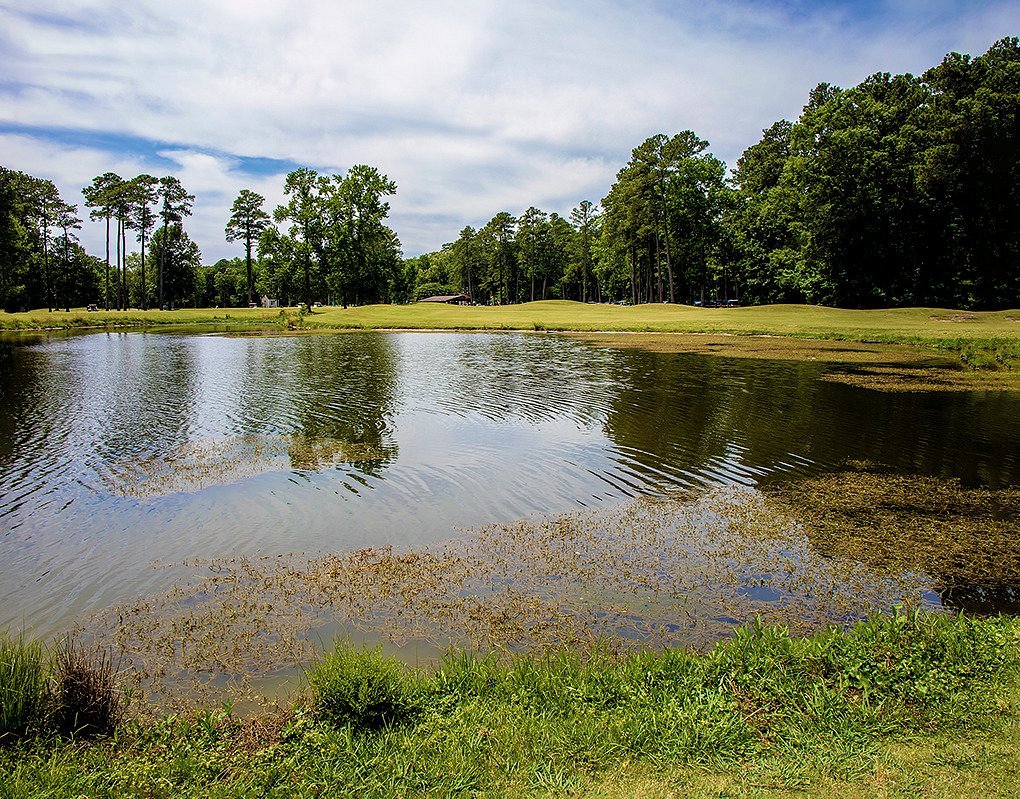 2022年 Red Wing Lake Golf Course 行く前に！見どころをチェック トリップアドバイザー