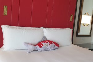 客室 & スイート