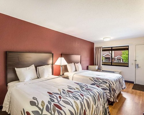 Red Roof Inn Ellenton In Sarasota Hotel Rates Reviews On Orbitz