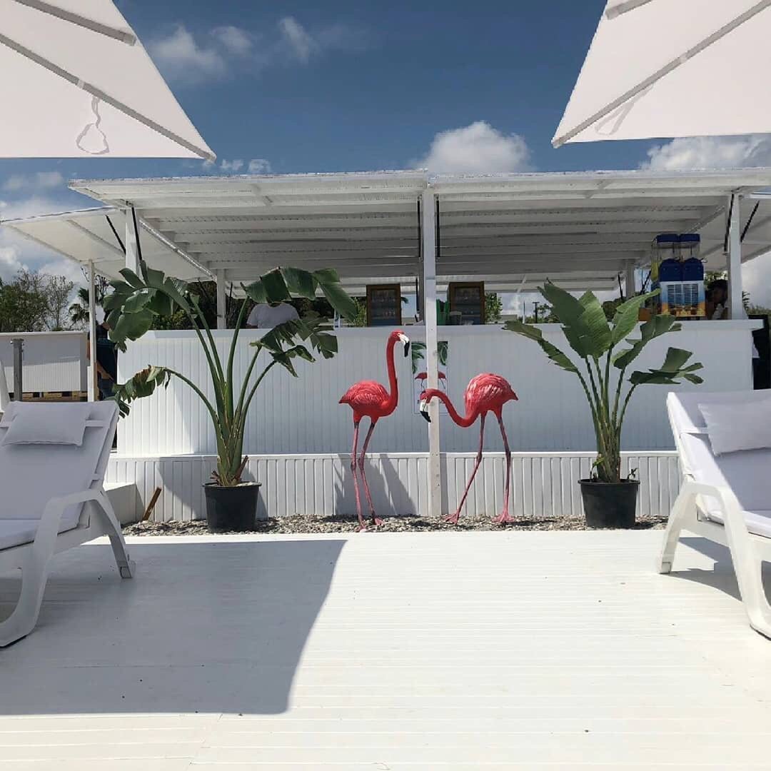 Flamingo Lounge - Konyaaltı, Анталья: лучшие советы перед посещением -  Tripadvisor