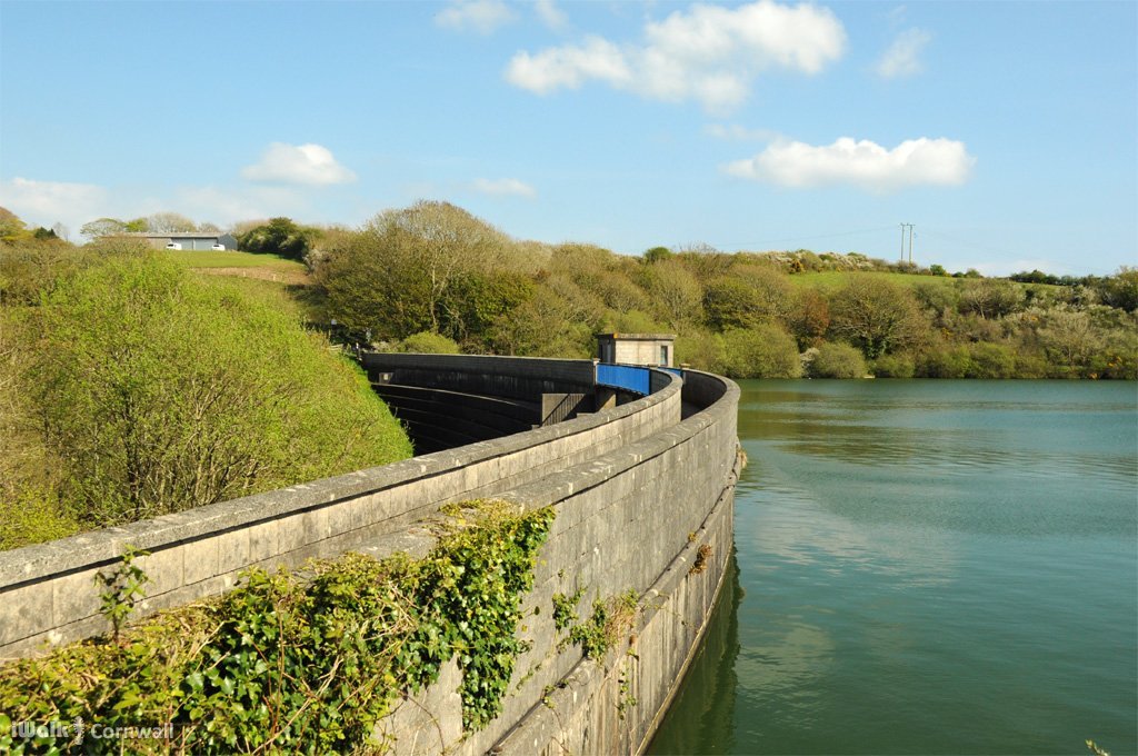 BUDOCK WATER AND THE LAKES CIRCULAR WALK (2025) - All You MUST Know ...