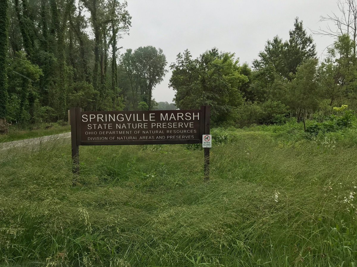 A Hidden Gem: Ohio Marsh Wetlands State Nature Preserve - Where Nature's Symphony Plays On