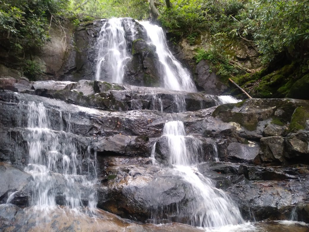 LAUREL FALLS TRAILHEAD (Parc national des Great Smoky Mountains): Ce qu ...