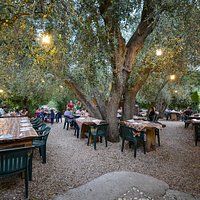 Il giardino esterno per cenare sotto gli ulivi secolari.