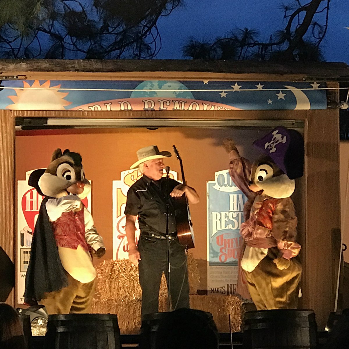 CHIP AND DALE CAMPFIRE 