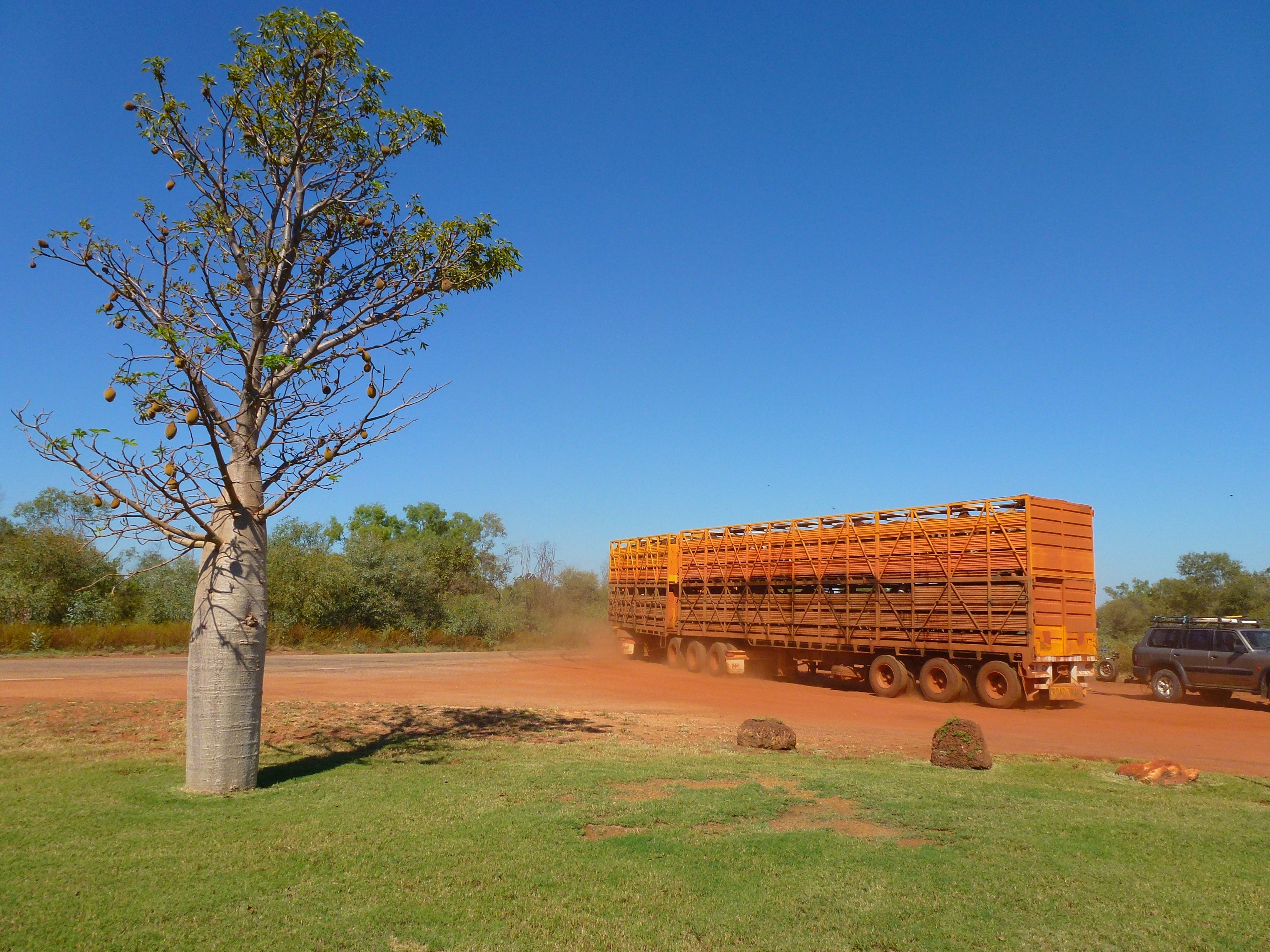 Adventure Wild Kimberley Tours (Broome): All You Need To Know