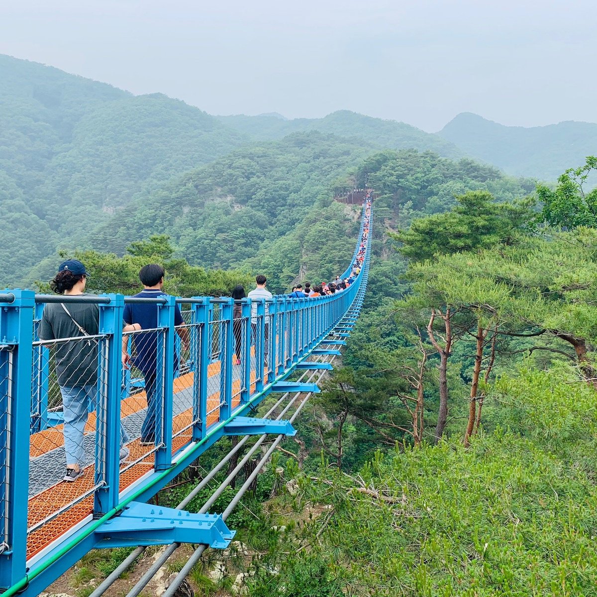 Wonju Sogeumsan Mountain Suspension Bridge All You Need To Know