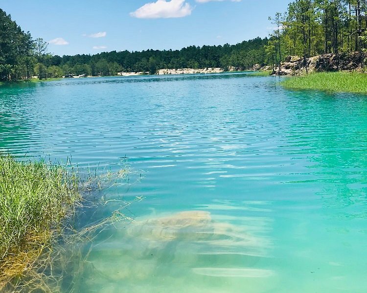 The Blue Lagoon (Huntsville) - All You Need to Know BEFORE You Go