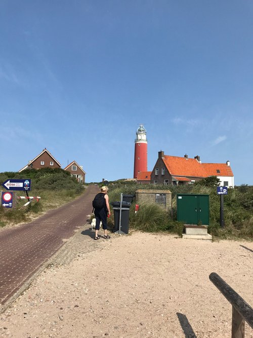 Texel review images