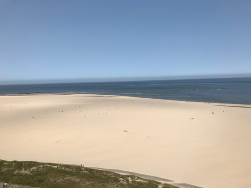 Texel review images