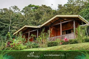 Habitación y suite
