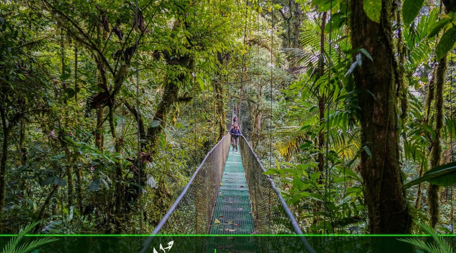 Hanging Bridges Trail