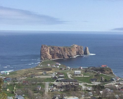 Observation d'oiseaux - Secteur de Cap d'Espoir - Percé destination vacances