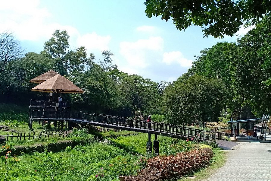 Zoo Negara image
