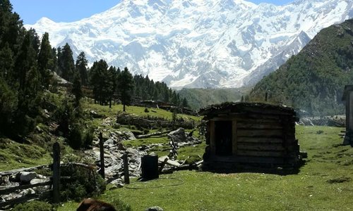 Fairy meadows, Gilgit Baltistan, Pakistan is a beautiful point where the Himalayas, the Karakoram and Hindu Kush mountain ranges meet.