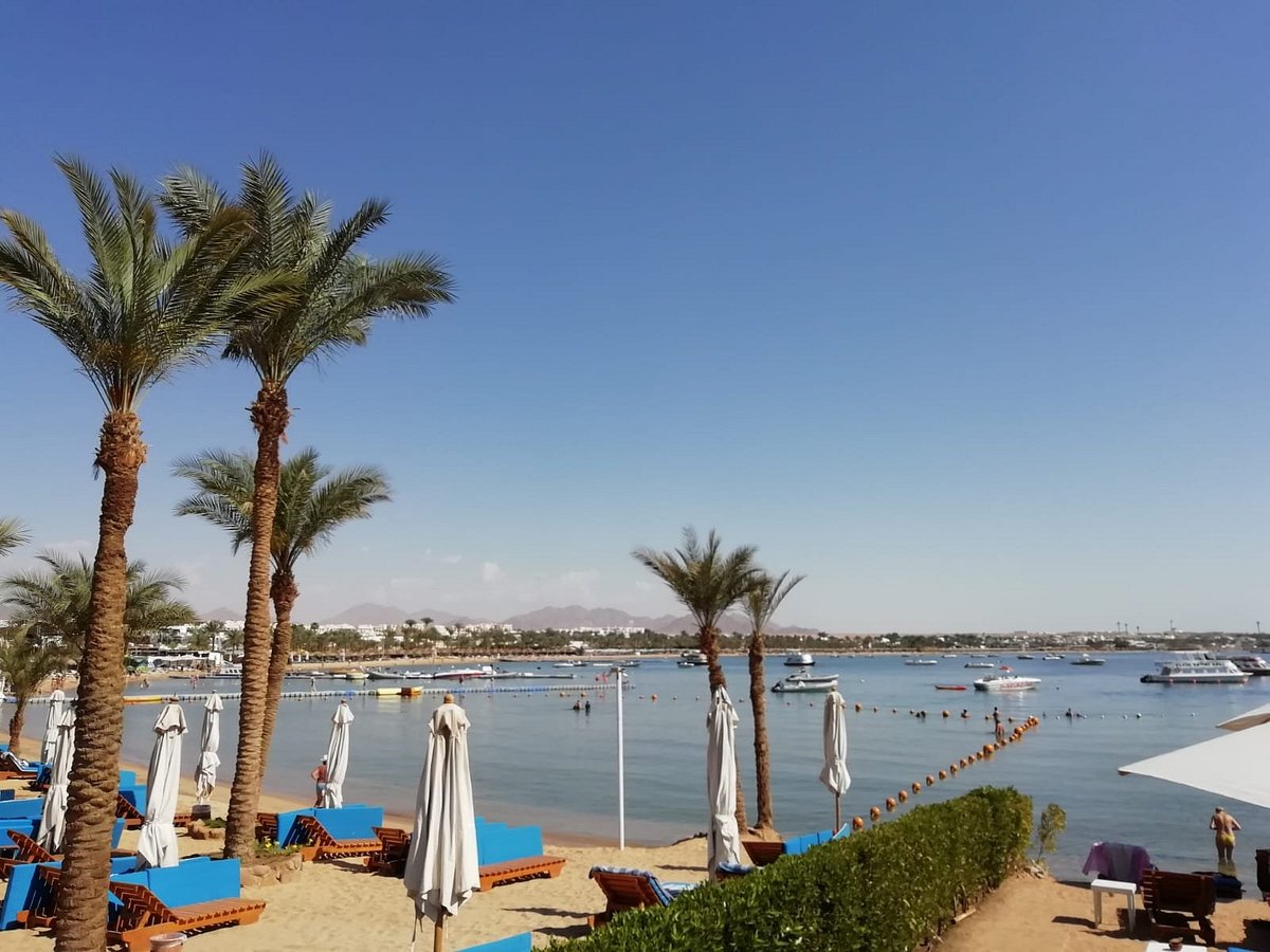 sharm day trips