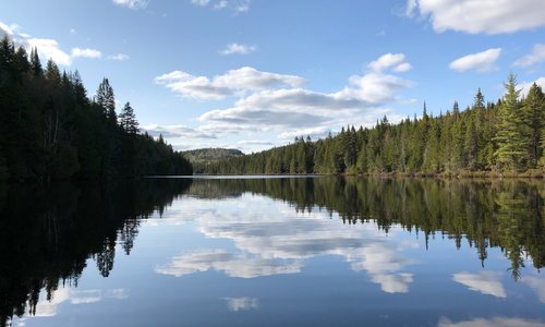 Lac