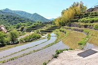 21年 中山千枚田 行く前に 見どころをチェック トリップアドバイザー