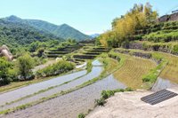 21年 中山千枚田 行く前に 見どころをチェック トリップアドバイザー