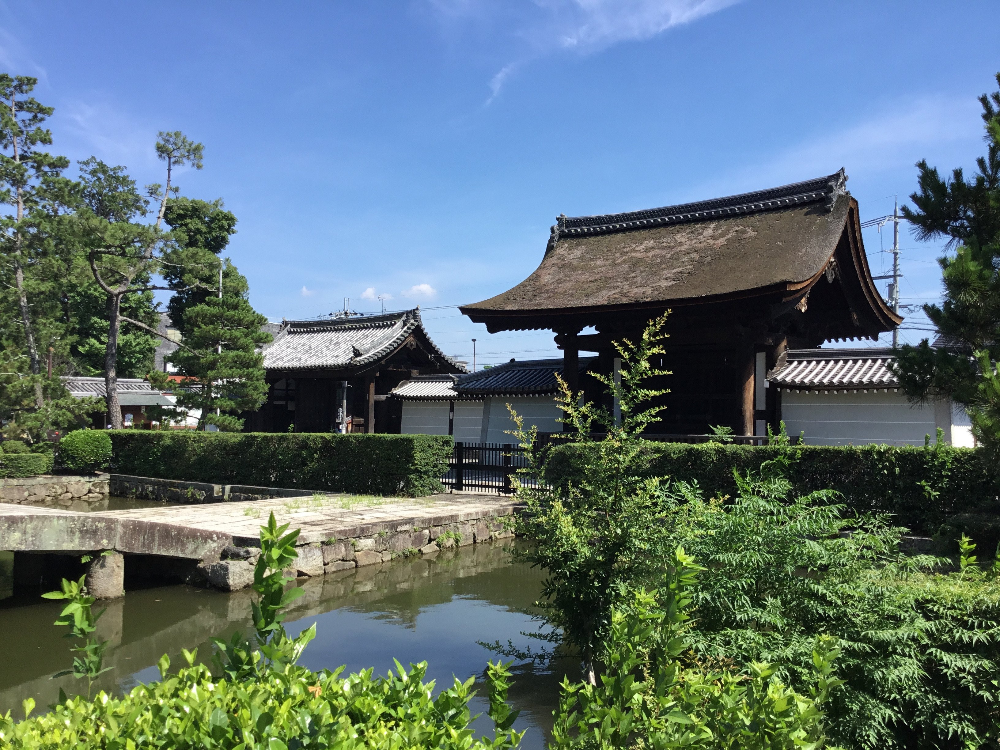 禅利 ZENRI 2024甲辰 KINOE TATSU／火入れ｜日本酒