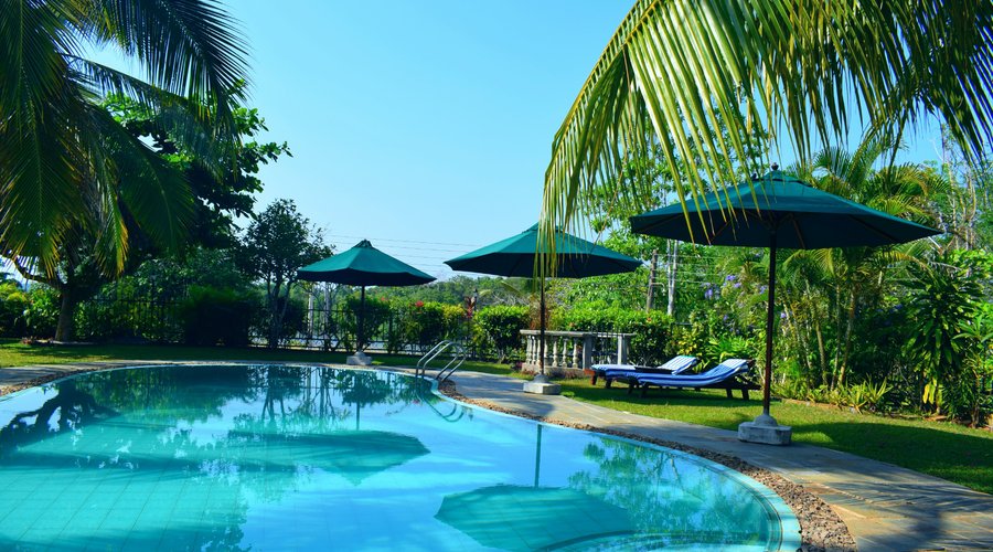 garden with pool view 