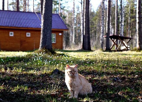 Главная | База отдыха 