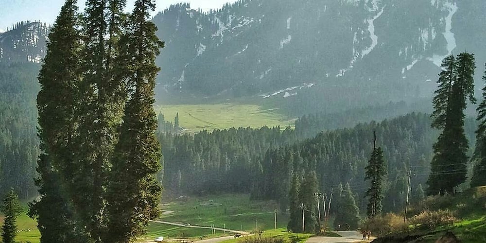 Budgam District 2024: Best Places to Visit - Tripadvisor