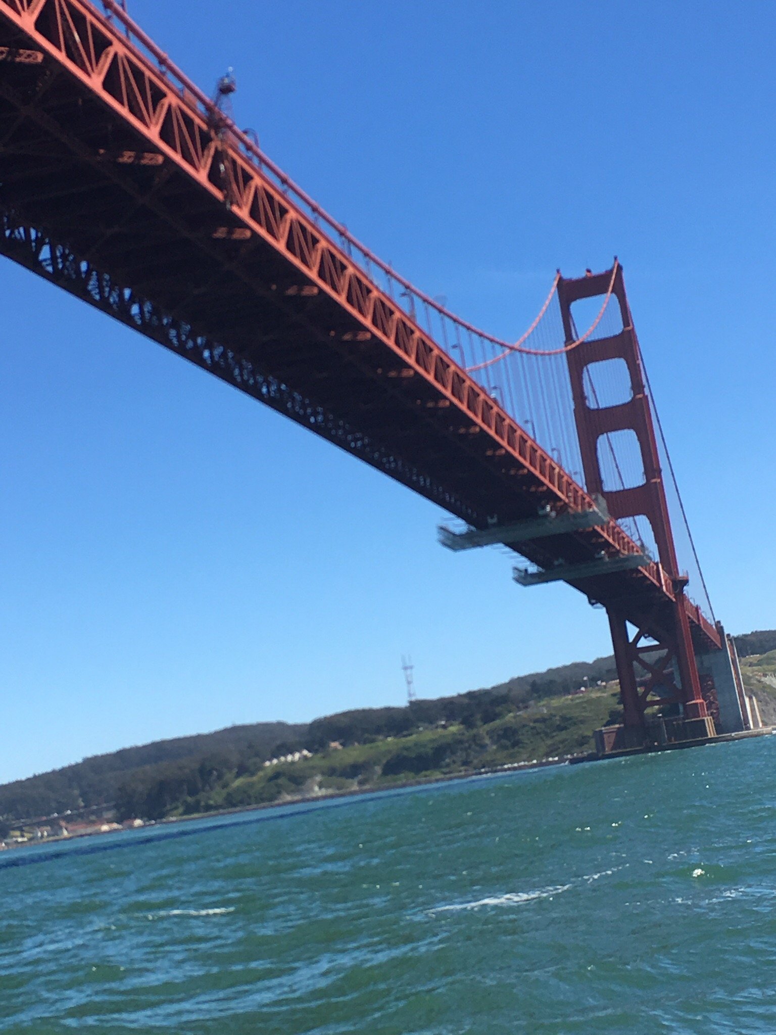 SF Bay Whale Watching San Francisco All You Need To Know BEFORE You Go   Photo1jpg 