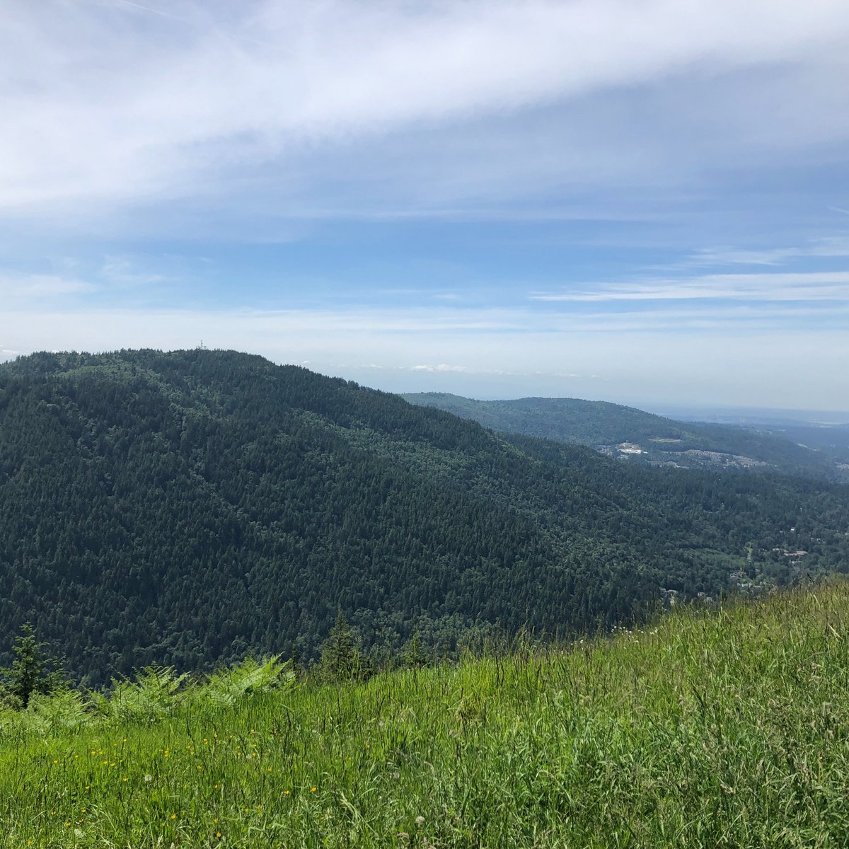 POO POO POINT - CHIRICO TRAIL - All You MUST Know Before You Go (2024)