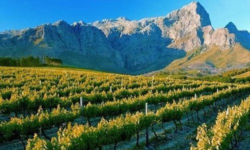 Franschhoek 2021: Best of Franschhoek, South Africa Tourism - Tripadvisor