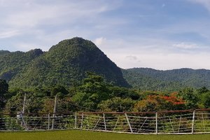 วิวจากห้องพัก