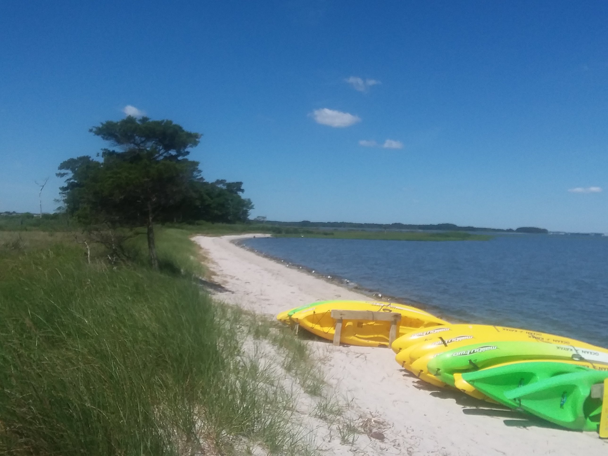 The Ultimate Guide to Ocean View Beach, Delaware