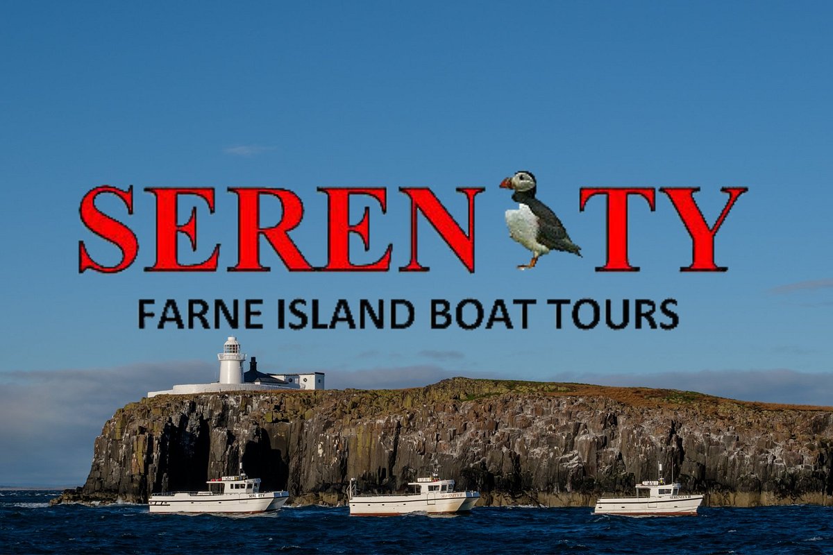 farne island boat trips 2023