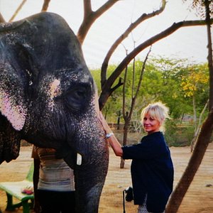 elefantastic travel indie