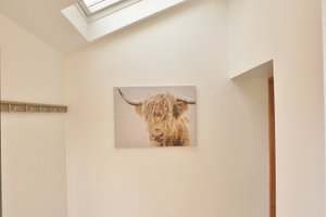 Room & Suite