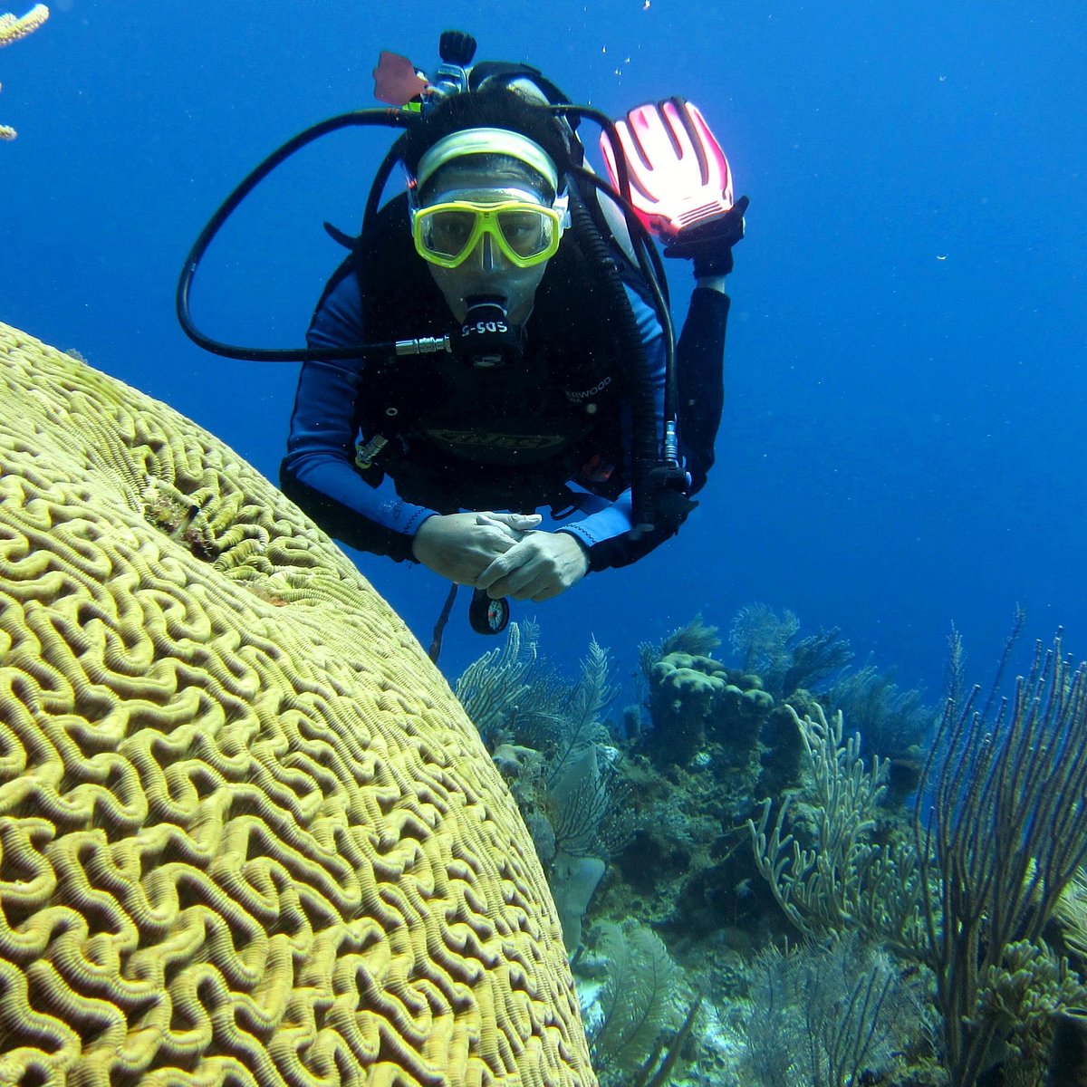 Centro de Buceo Costa Maya Chetumal - Para que armes de kit de