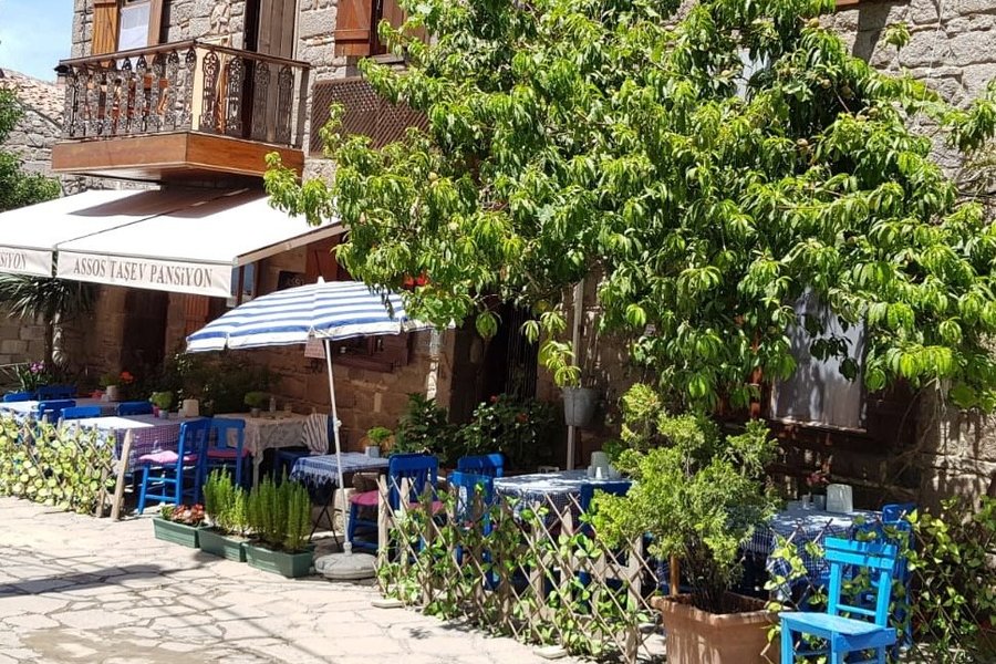 assos tas ev pansiyon assos turkiye konaklama yorumlari ve fiyat karsilastirmasi tripadvisor
