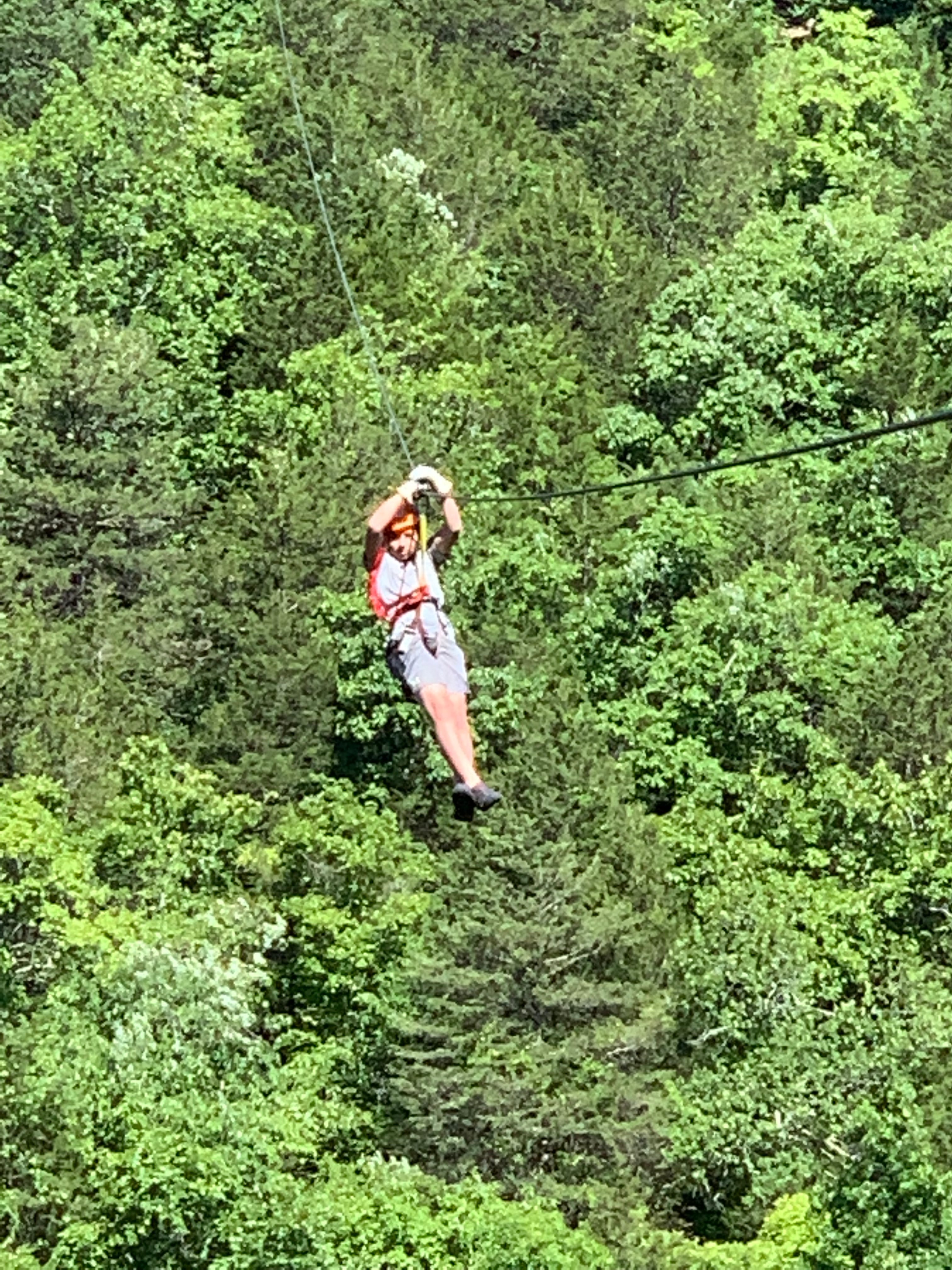 Zipline USA (2025) - All You Need to Know BEFORE You Go
