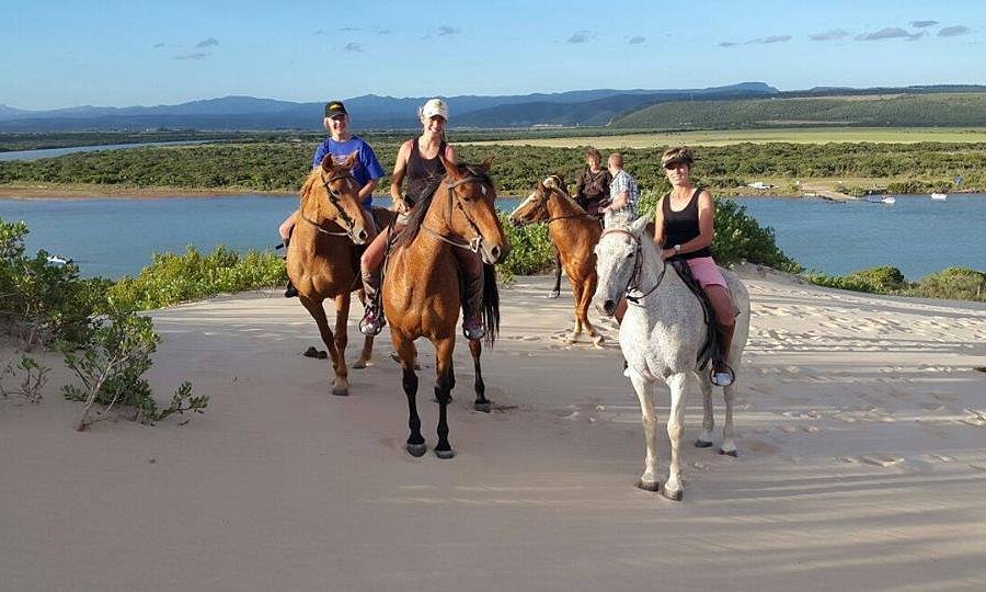 Papiesfontein Beach Horse Trails image