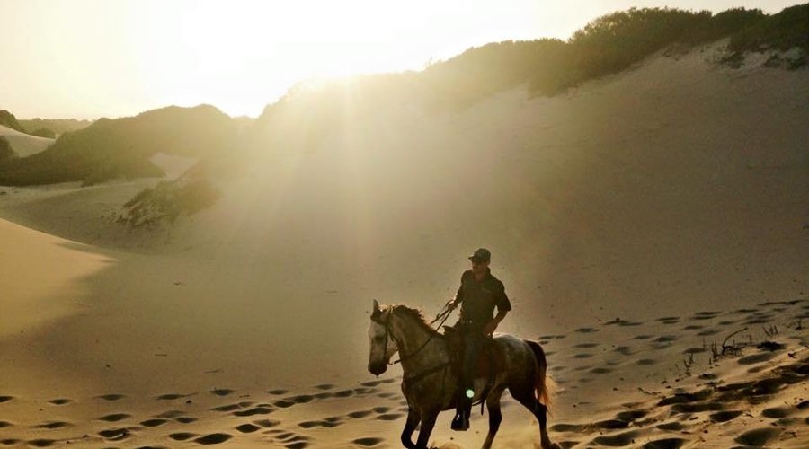 Sun over the shifting dunes.