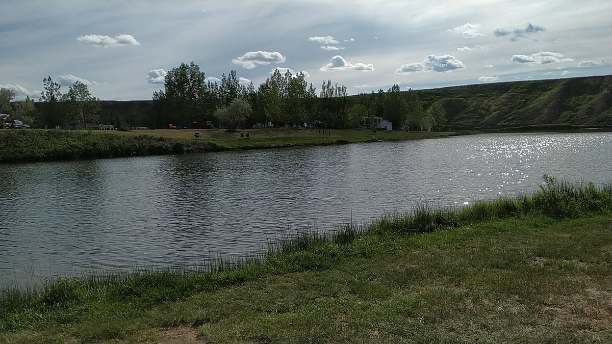 GOLD SPRINGS CAMPGROUND (Milk River) - отзывы и фото - Tripadvisor