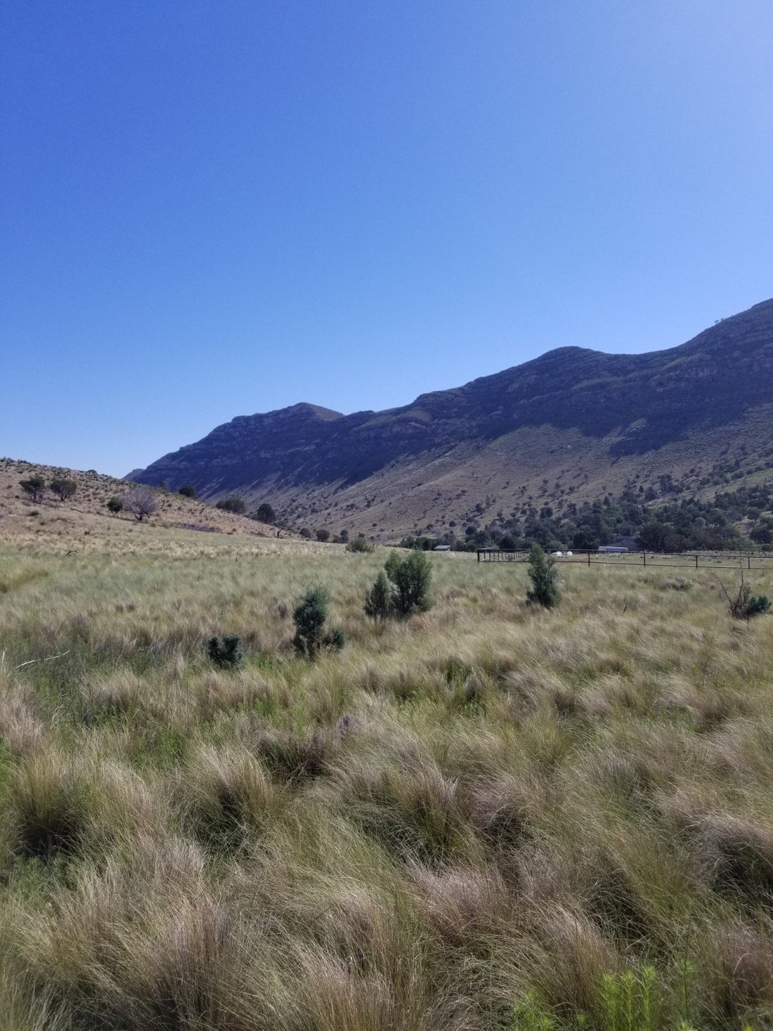 DOG CANYON CAMPGROUND (GUADALUPE MOUNTAINS NATIONAL PARK, TX): 11 fotos ...