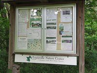 Bee Charm — Louisville Nature Center